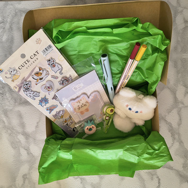 Caja con Cositas para Papelería 4