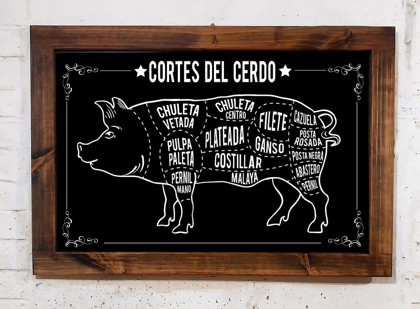 Cortes de la Carne cerdo XL 1