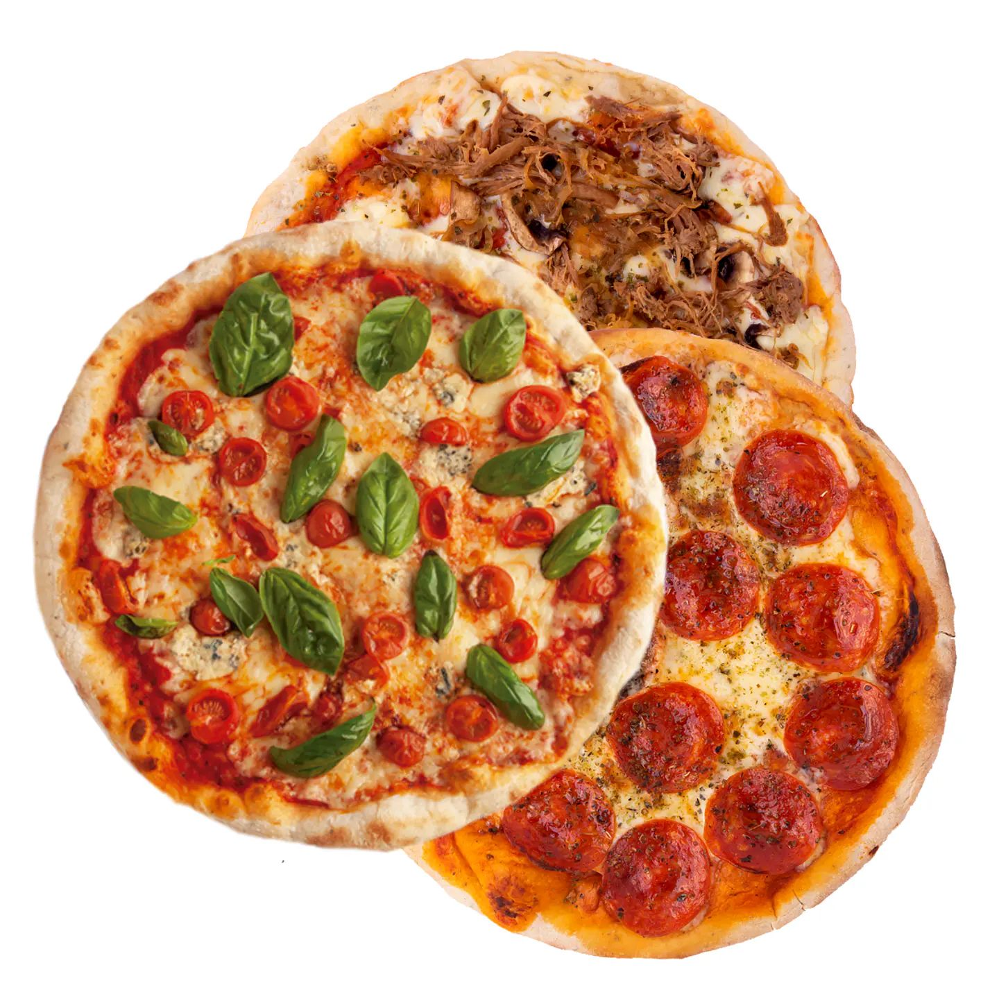 PACK 10 PIZZAS SURTIDAS 23 CM. 1