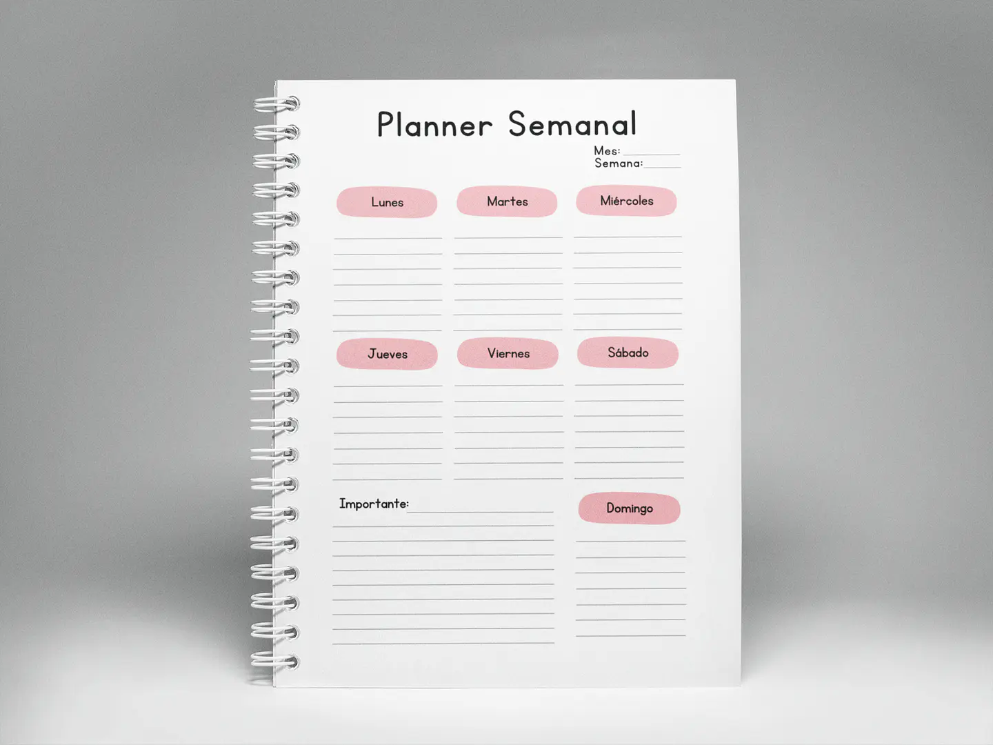 Agenda BlackPink 2026 13