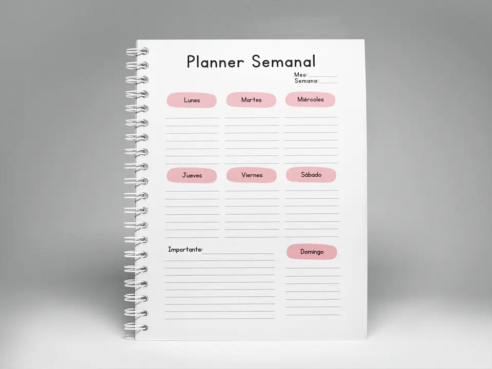 Agenda BlackPink 2026 13