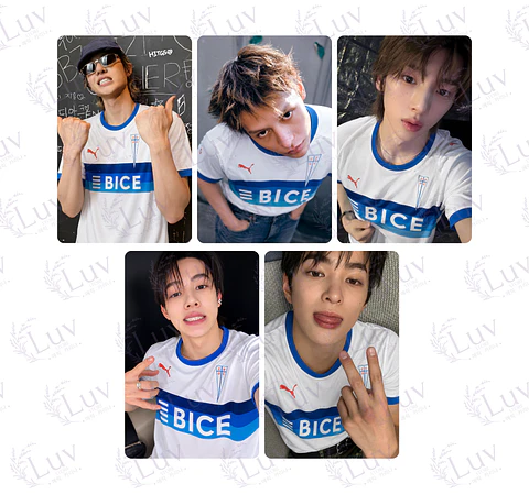 Set Photocards Cortis OT5  Universidad Católica Ver. 2
