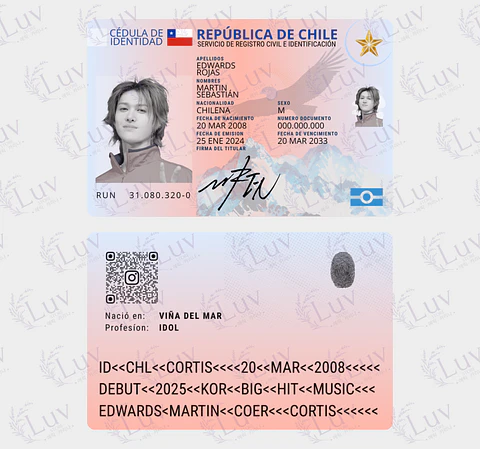 Carnet Cortis Chileno Fanmade | Elige tu Integrante