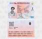 Carnet Cortis Chileno Fanmade | Elige tu Integrante - Miniatura 4