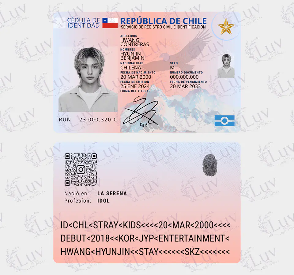 Carnet Stray Kids Chileno Fanmade | Elige tu Integrante 3