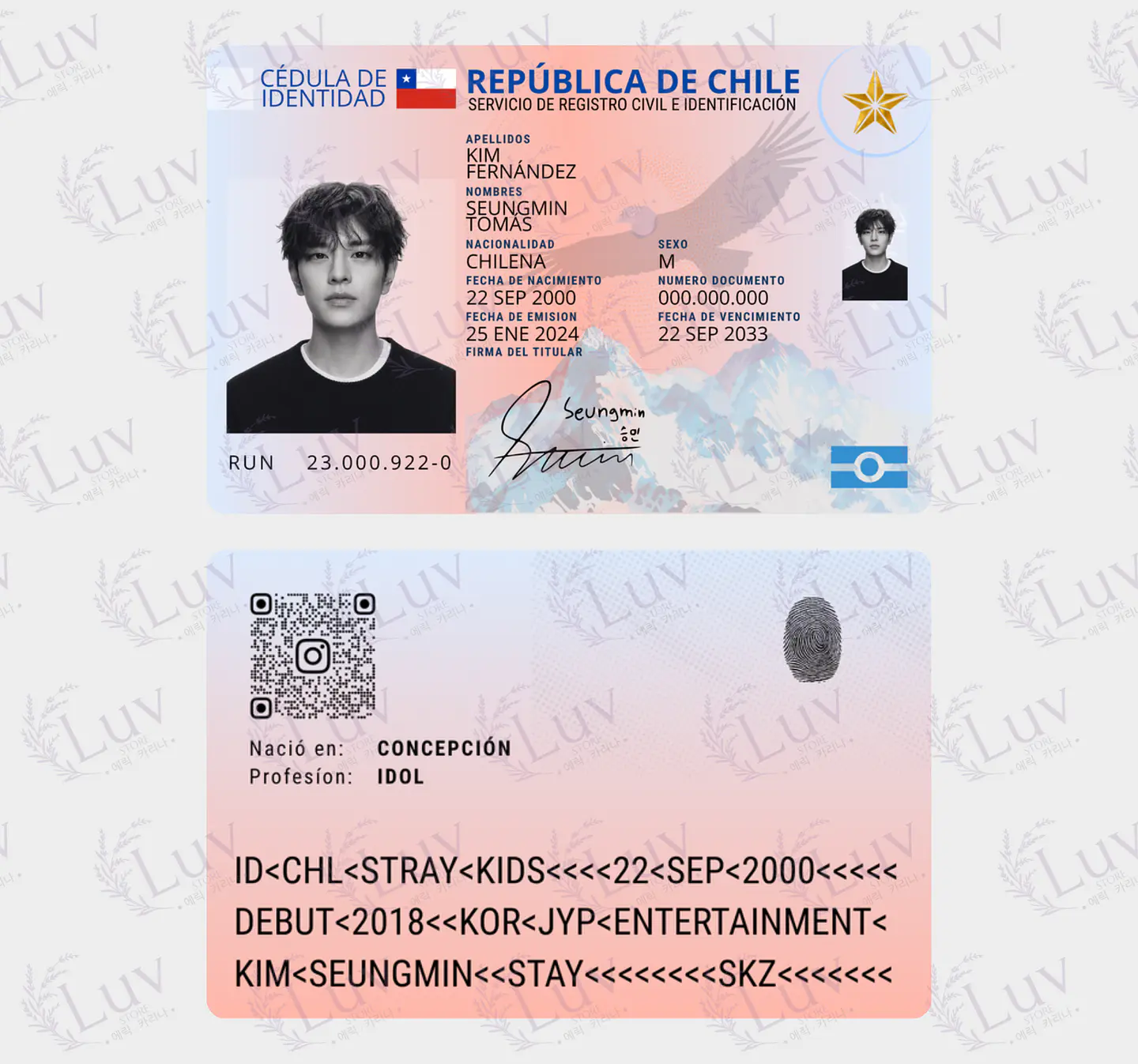 Carnet Stray Kids Chileno Fanmade | Elige tu Integrante 6
