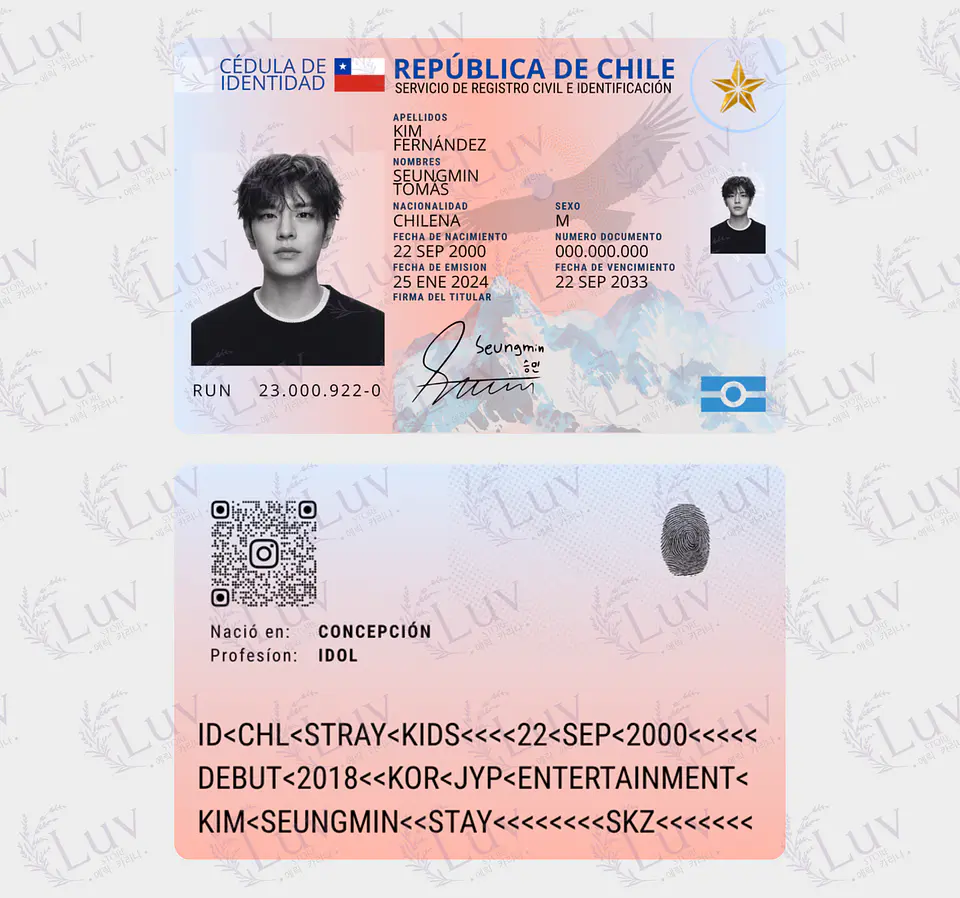 Carnet Stray Kids Chileno Fanmade | Elige tu Integrante 6