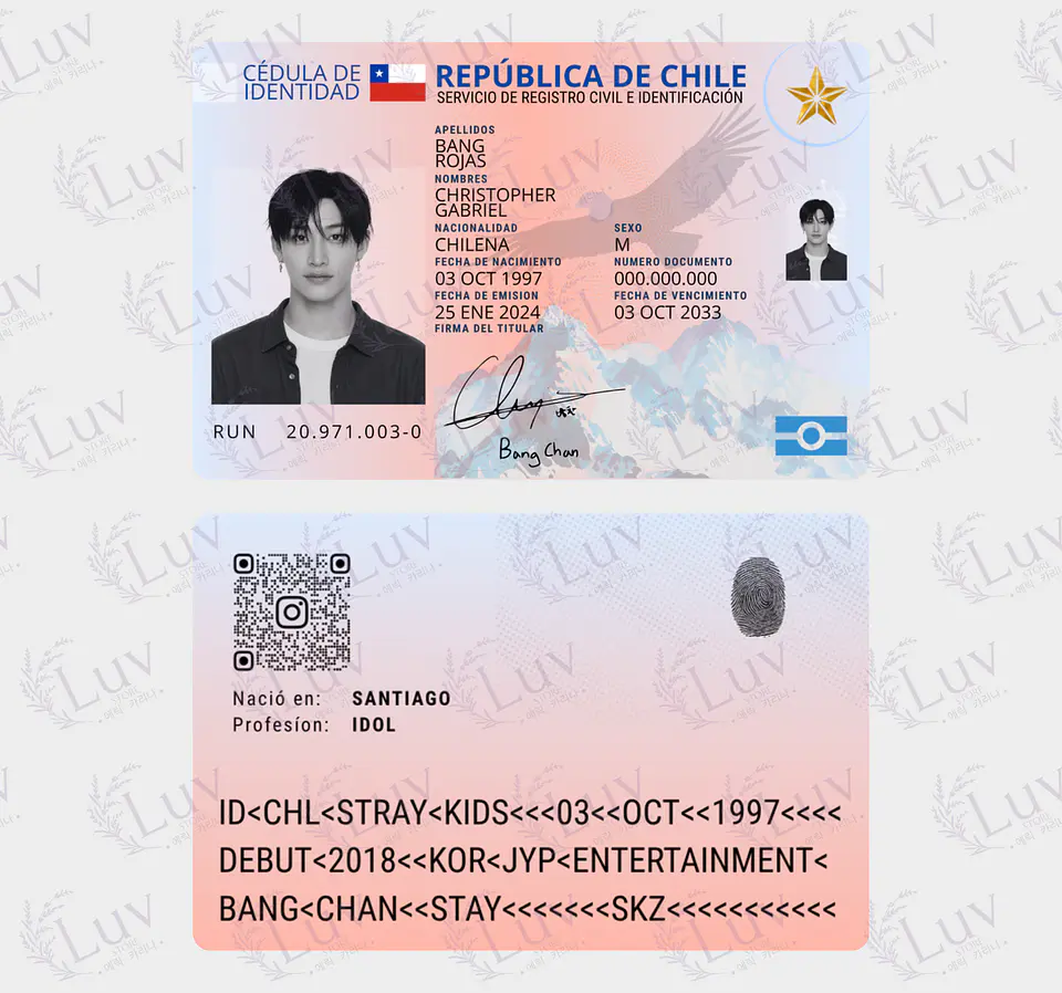 Carnet Stray Kids Chileno Fanmade | Elige tu Integrante 8