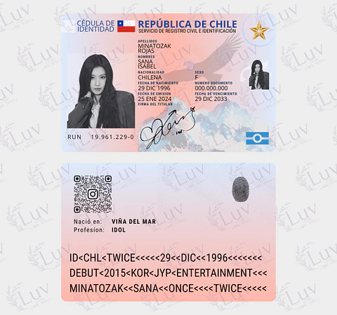 Carnet Twice Chileno Fanmade | Elige tu Integrante