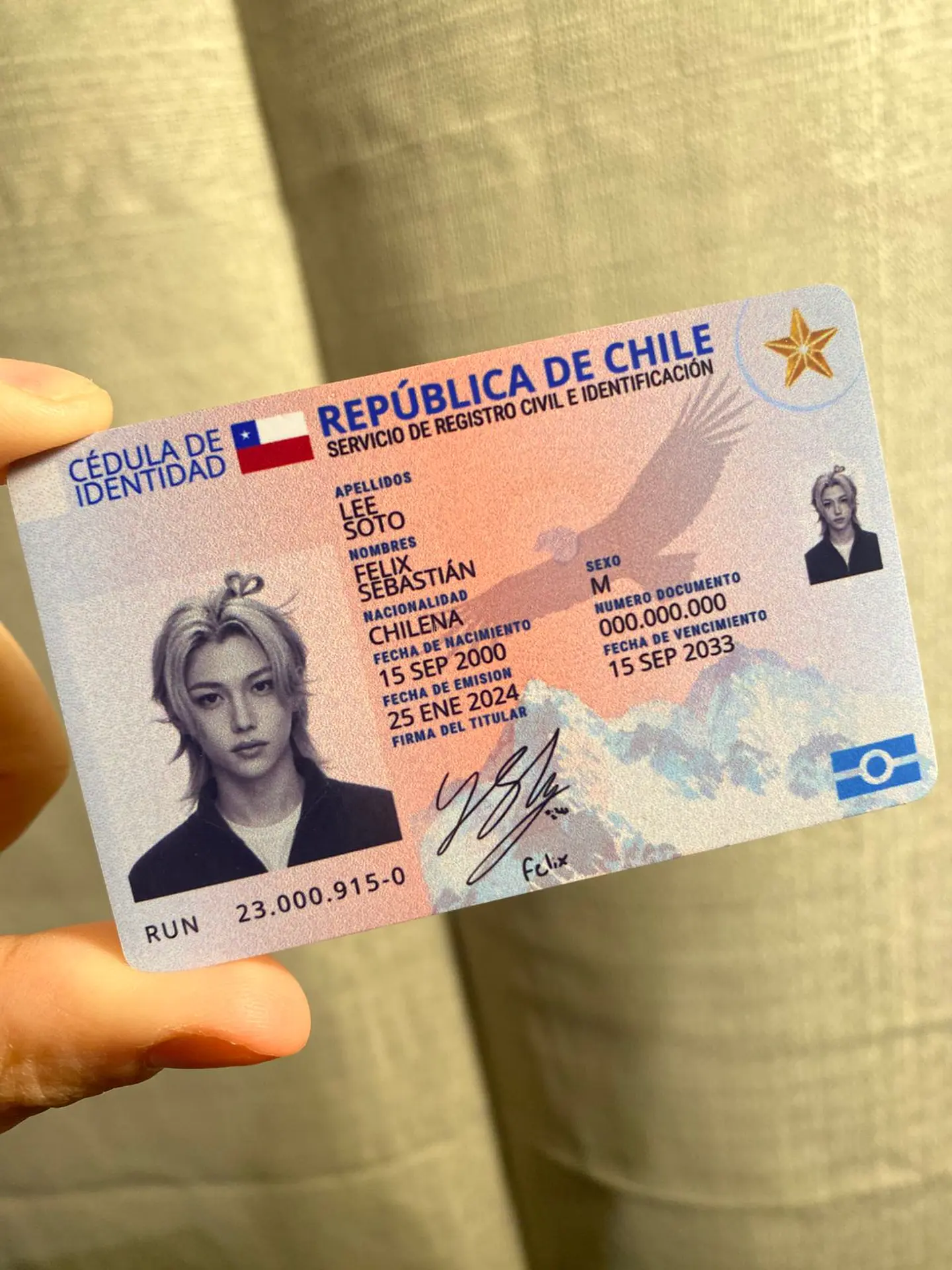Carnet Stray Kids Chileno Fanmade | Elige tu Integrante 9