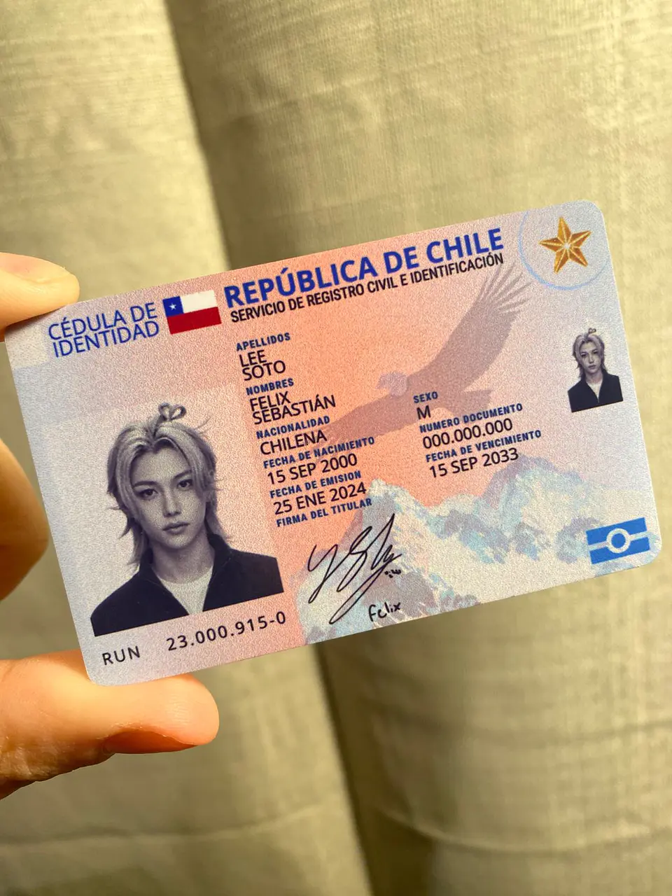Carnet Stray Kids Chileno Fanmade | Elige tu Integrante 9