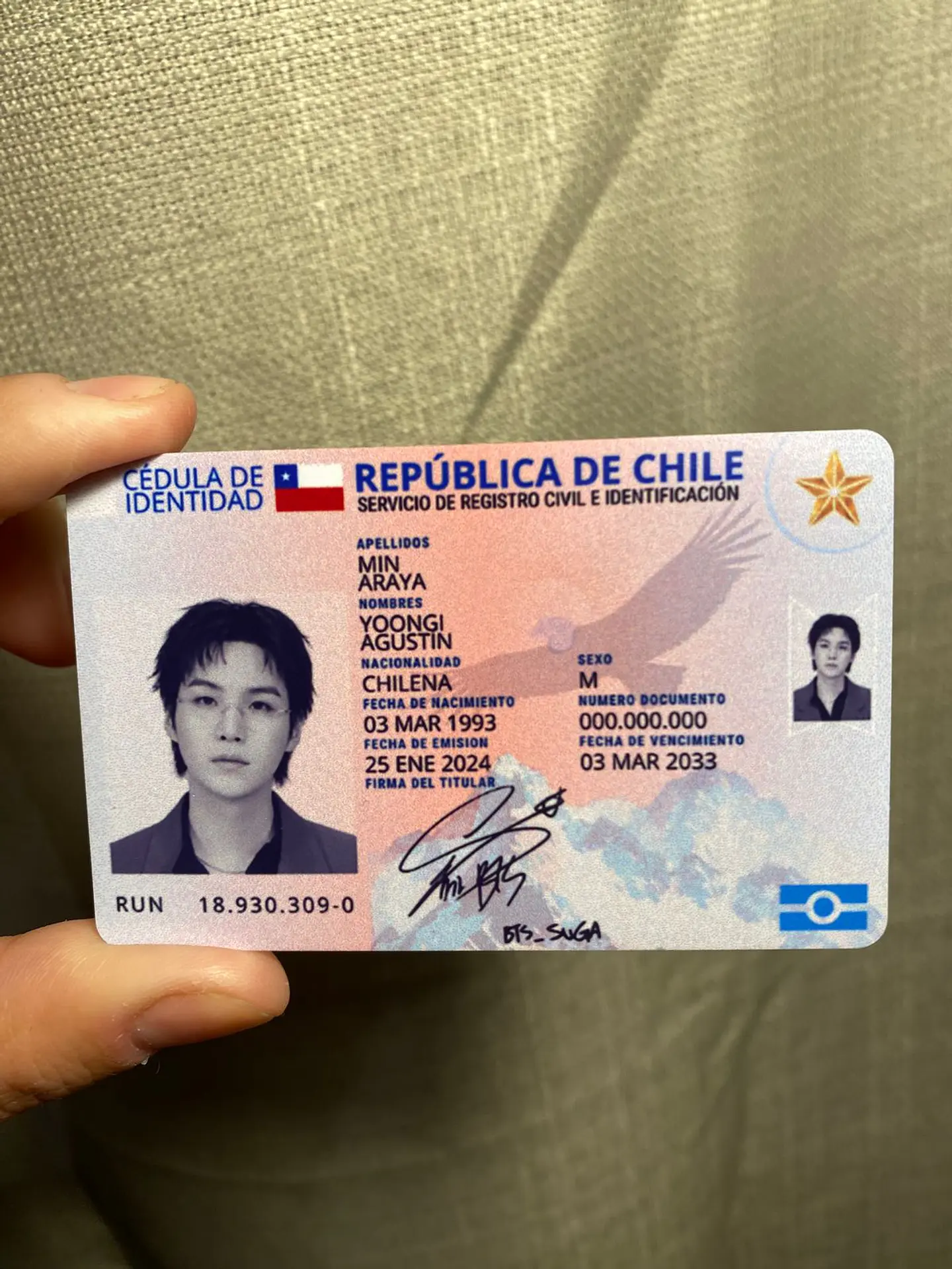 Carnet BTS Chileno Fanmade | Elige tu Integrante 10