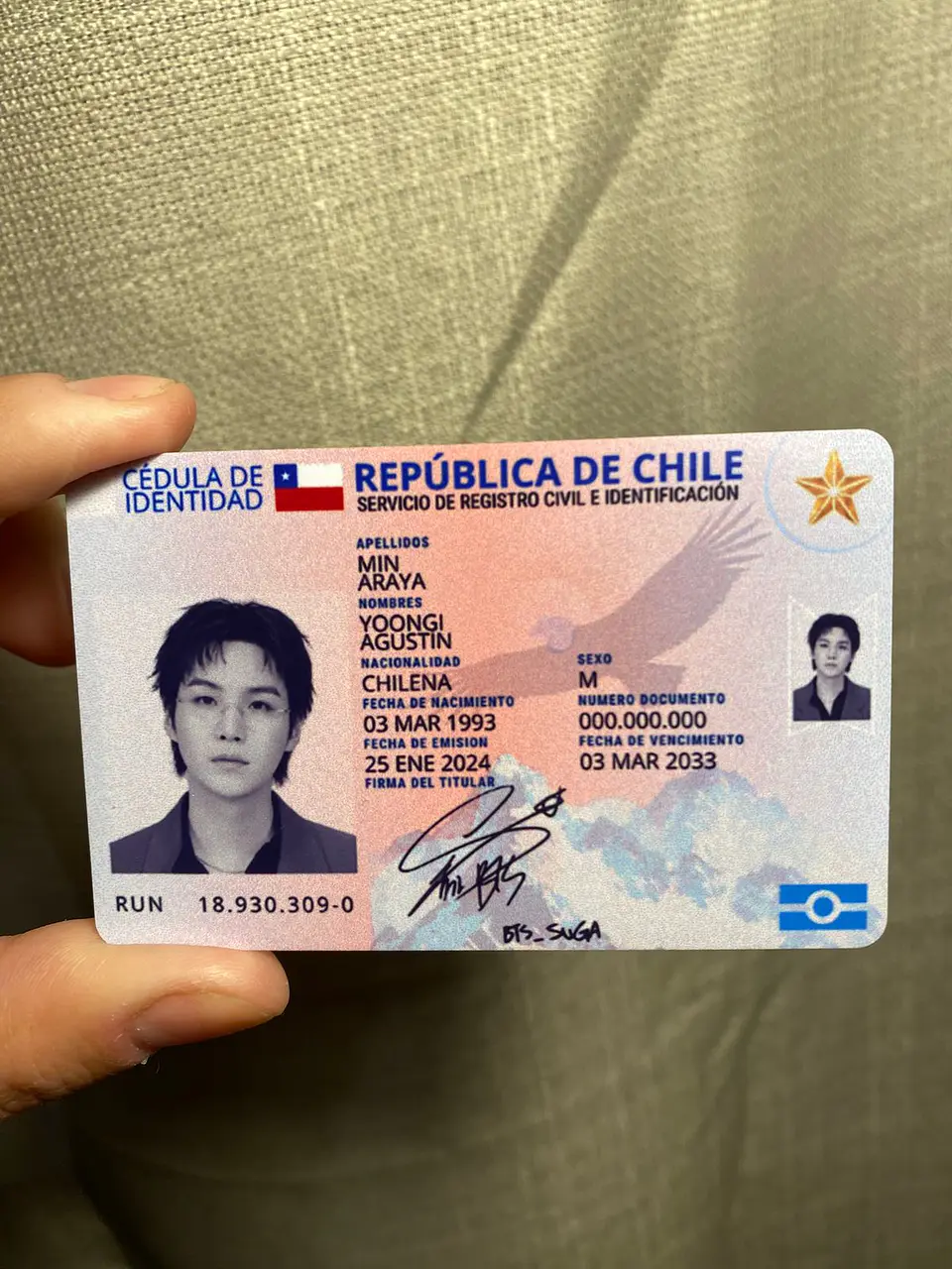 Carnet BTS Chileno Fanmade | Elige tu Integrante 10