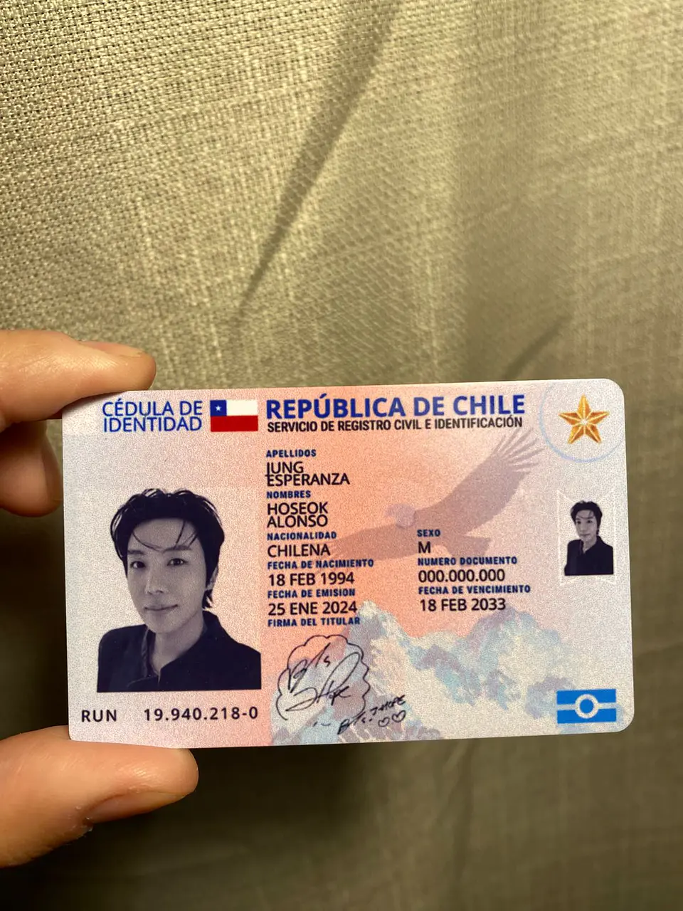 Carnet BTS Chileno Fanmade | Elige tu Integrante 12
