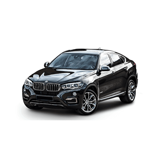 Pastillas Freno BMW X6 40d 2008-2014 Trasero