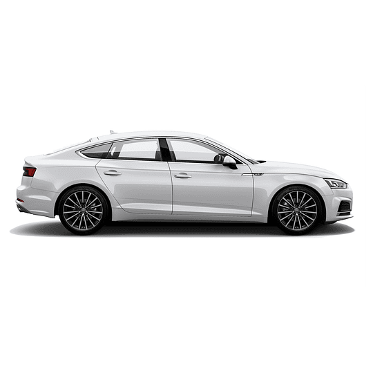 Disco Freno Audi A5 2018-2023 Trasero