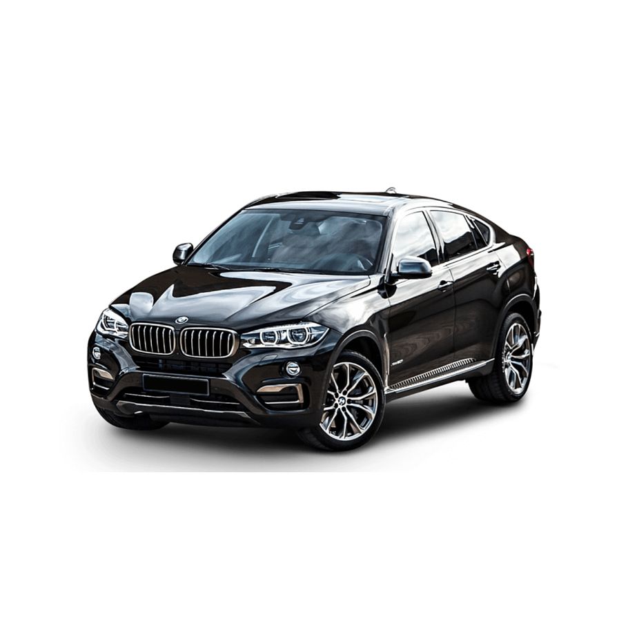 Disco Freno BMW X6 50i 2008-2014 Trasero 1