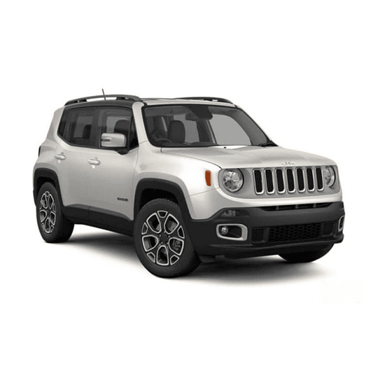 Disco Freno Jeep Renegade 2015-2023 Trasero