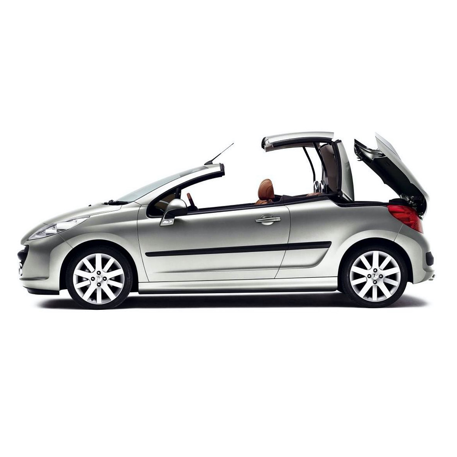 Disco Freno Peugeot 207 CC 2006-2014 Trasero 1