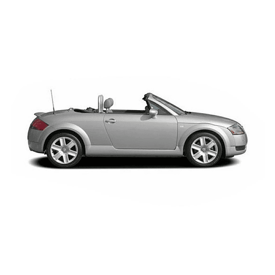 Disco Freno Audi TT 1999-2006 Trasero