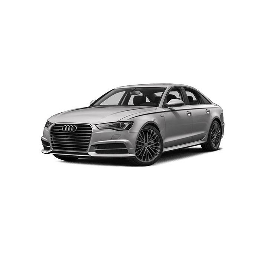 Disco Freno Audi A6 Quattro 2011-2018 Trasero 3