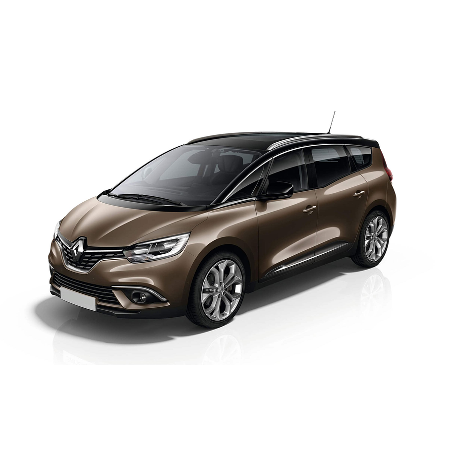 Filtro Aceite Renault Grand Scénic 2009-2015 22