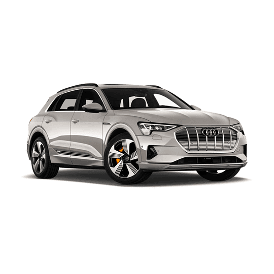 Disco Freno Audi e-tron Quattro 2018-2023 Trasero