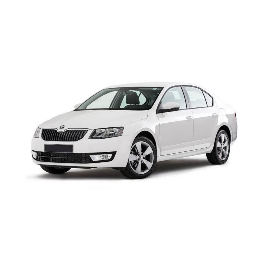 Filtro Aire Skoda Octavia 2004-2013 8