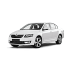 Filtro Aire Skoda Octavia 2004-2013 9