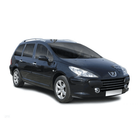 Disco Freno Peugeot 307 Break SW 2001-2011 Delantero