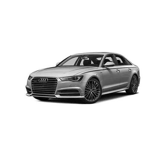 Disco Freno Audi A6 2011-2018 Trasero