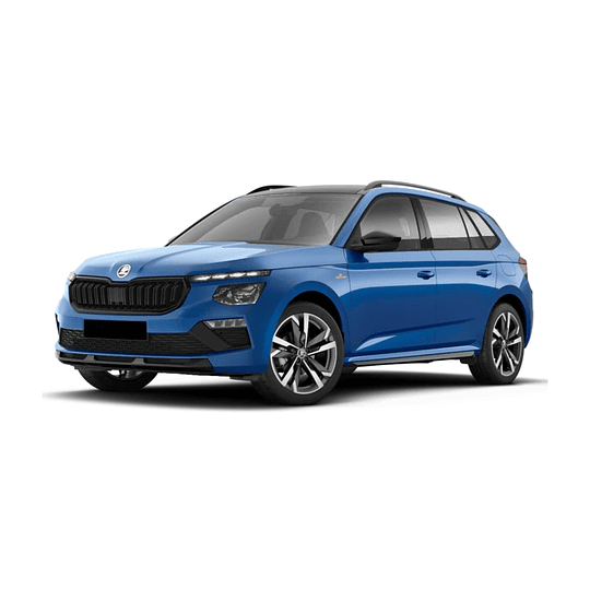 Filtro Aceite Skoda Kamiq 2019-2025