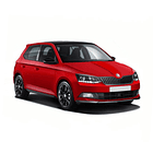 Disco Freno Skoda Fabia 2015-2021 Delantero 1