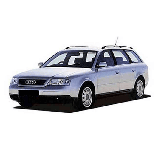 Filtro Polen Audi A6 Avant 1997-2004