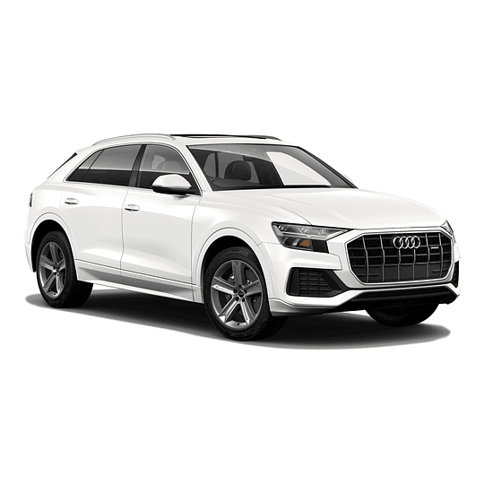 Pastillas Freno Audi Q8 2018-2023 Trasero