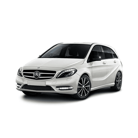Disco Freno Mercedes Benz B180 CDI 2012-2019 Trasero