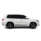 Filtro Polen Toyota Land Cruiser (Confort models) 2008-2021 10