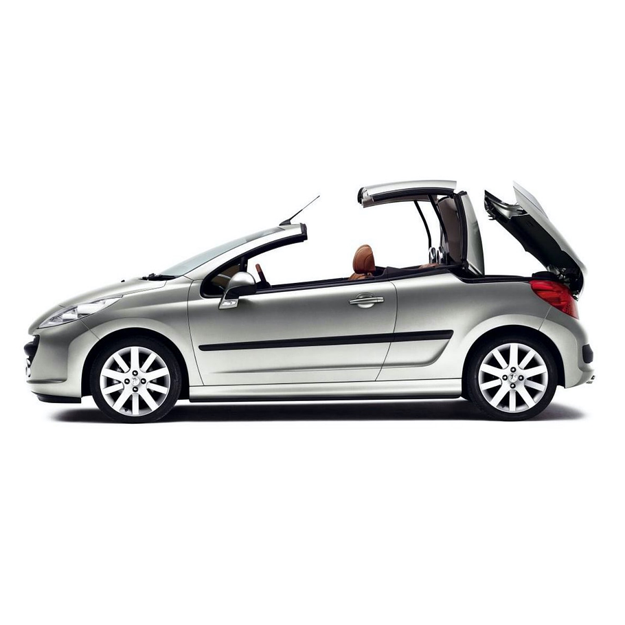 Disco Freno Peugeot 207 CC 2006-2014 Delantero 2