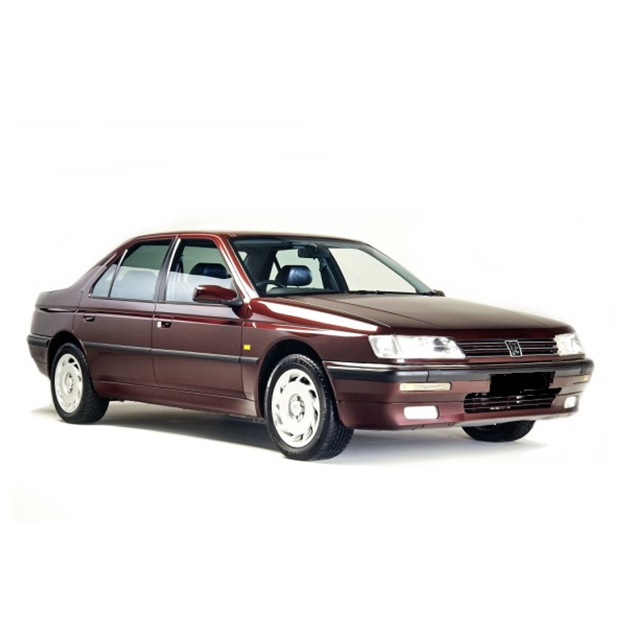 Filtro Aceite Peugeot 605 1989-1994 7