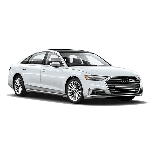Disco Freno Audi A8 Quattro / A8 2018-2023 Trasero