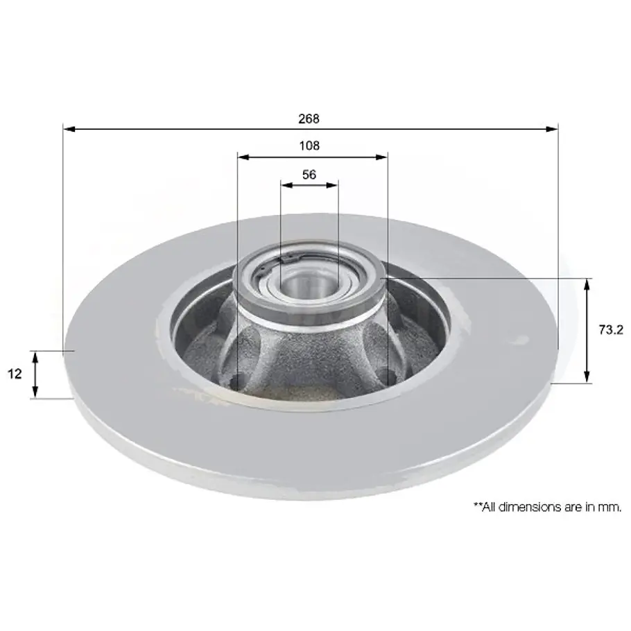 Disco Freno Citroën DS4 2010-2015 Trasero 1