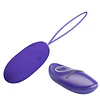 HUEVO VIBRADOR CON CON CONTROL USB "PRETTY LOVE JENNY YOUTH" 