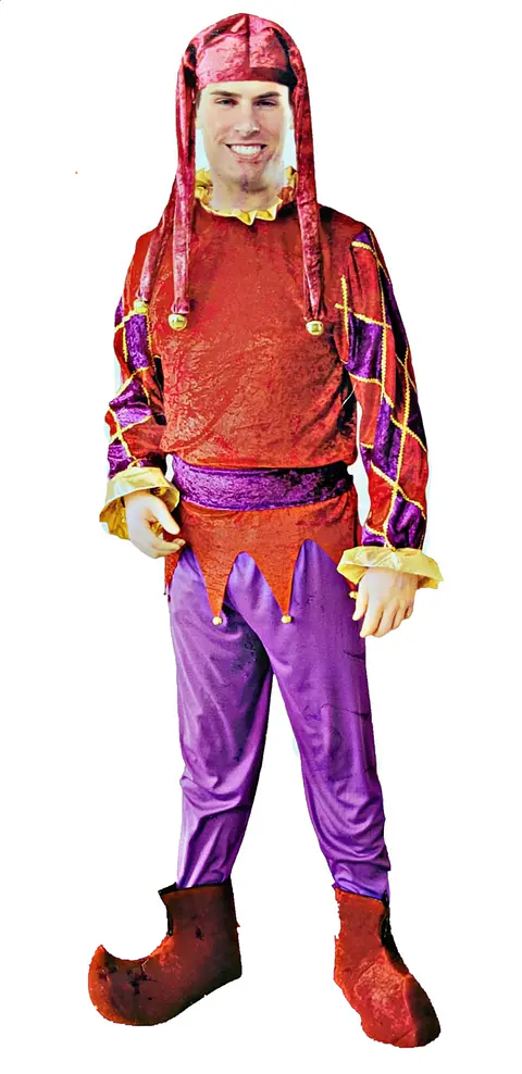 Disfraz Bufon Arlequin Adulto