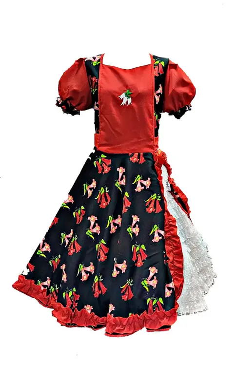 Vestido Huasa Adulta Copihue Fiestas Patrias Rojo-Negro