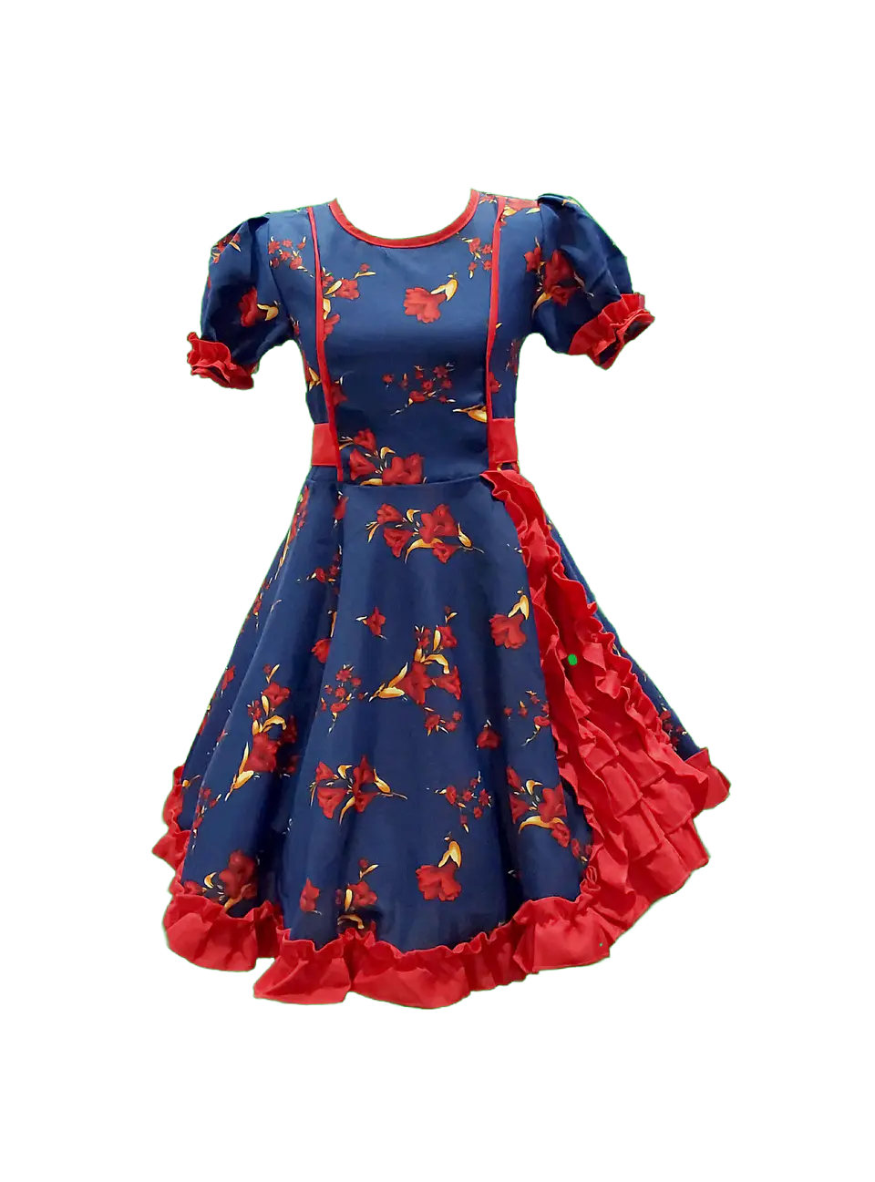 Vestido Huasa Adulto Copihue Azul/Rojo 1