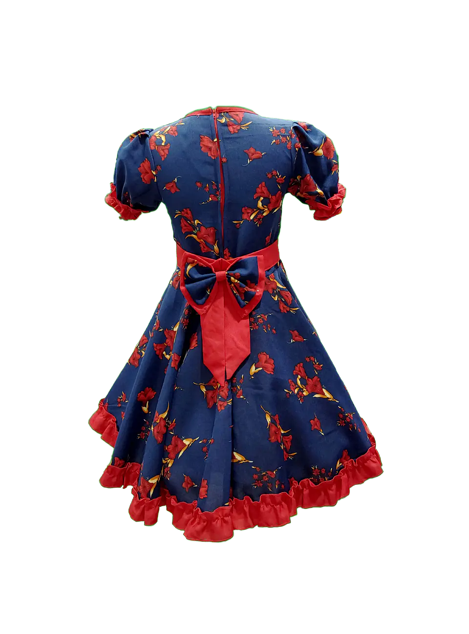 Vestido Huasa Adulto Copihue Azul/Rojo 3