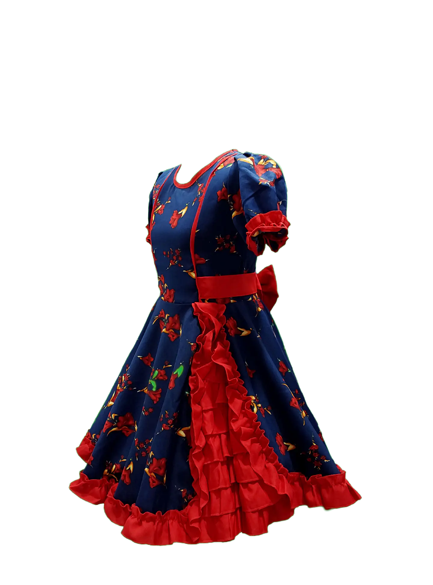 Vestido Huasa Adulto Copihue Azul/Rojo 2