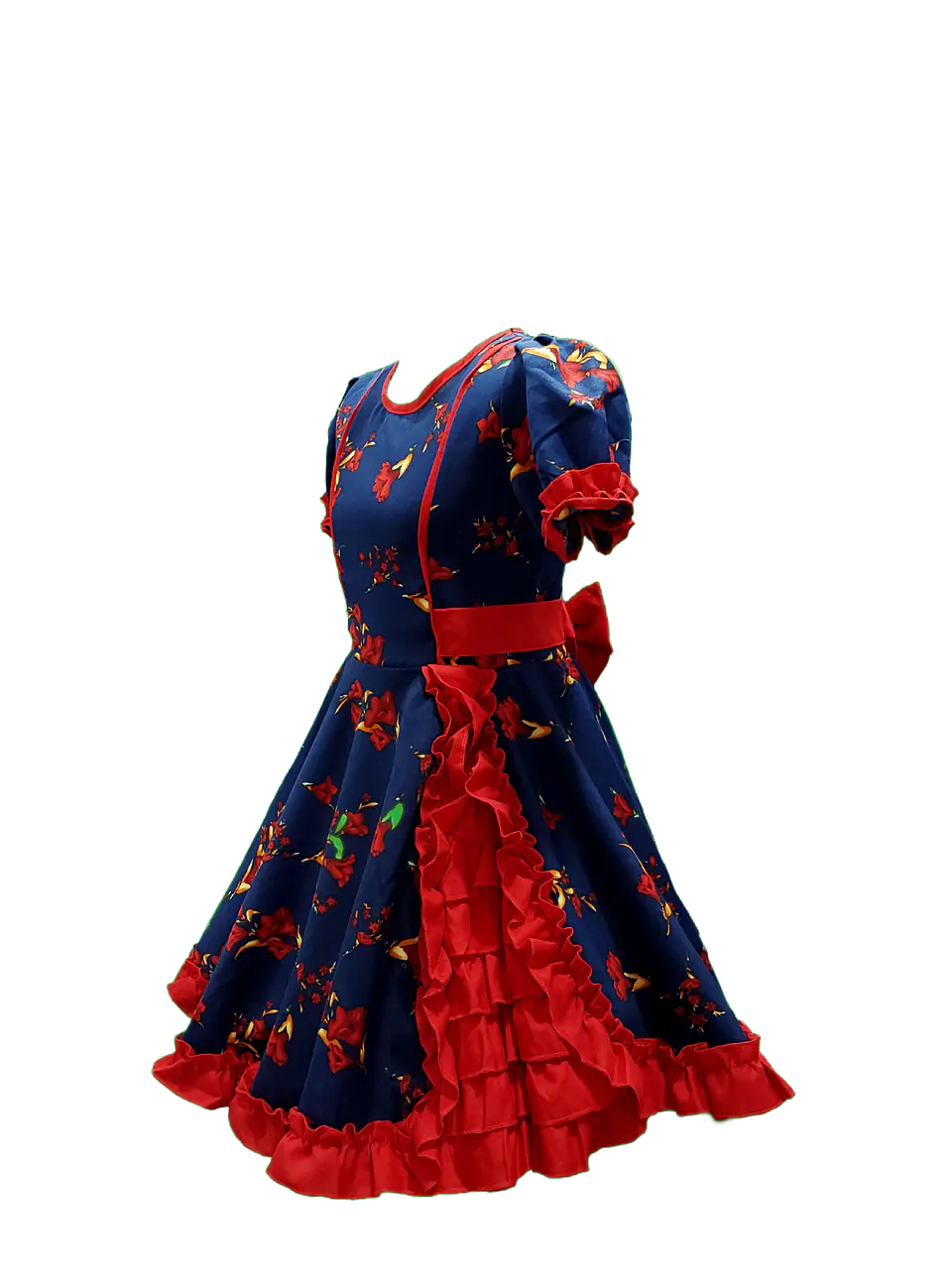 Vestido Huasa Adulto Copihue Azul/Rojo 2