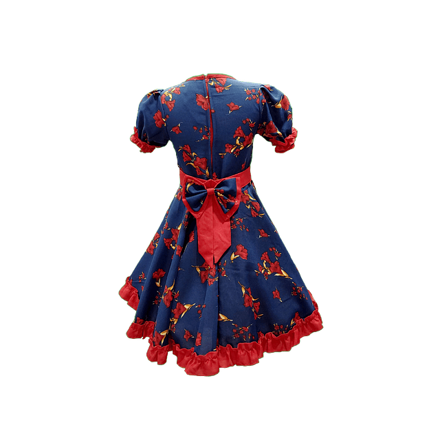 Vestido Huasa Niña Copihue Azul/Rojo