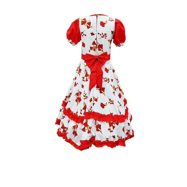 Vestido Huasa Niña Copihue Blanco/Rojo